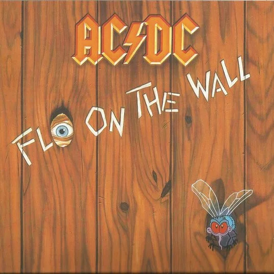 Cover of Fly On The Wall