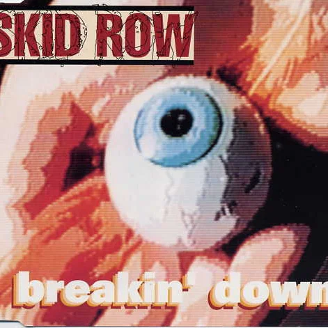 Cover of Breakin' Down