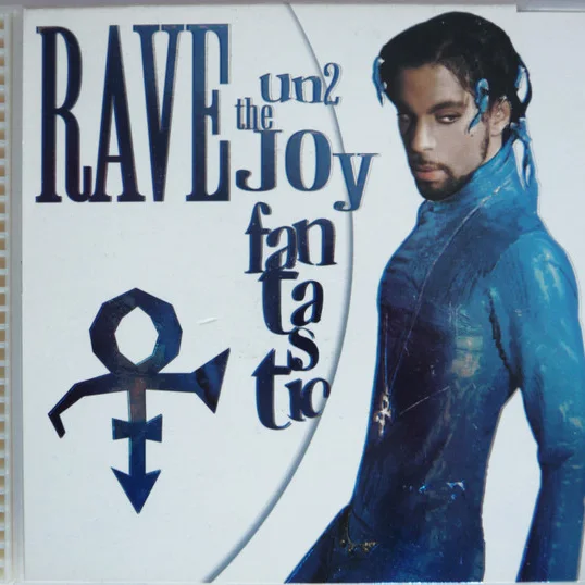 Cover of Rave Un2 The Joy Fantastic