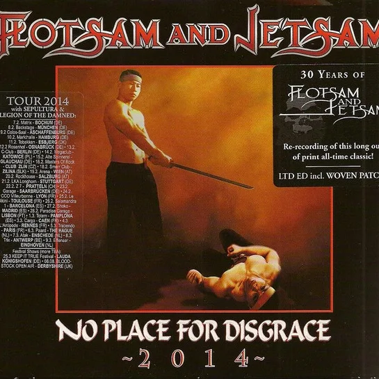 Cover of No Place For Disgrace 2014