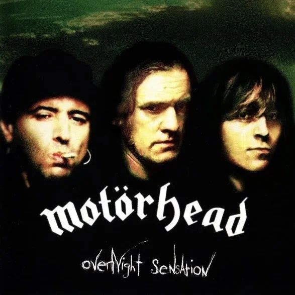 Cover of Overnight Sensation