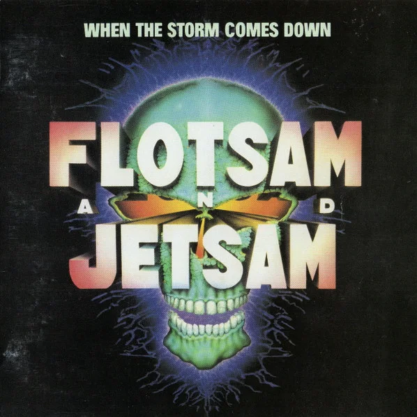 Cover of When The Storm Comes Down