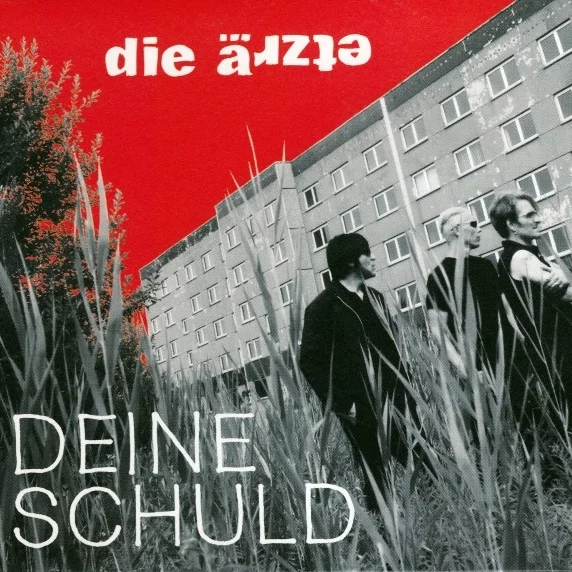 Cover of Deine Schuld