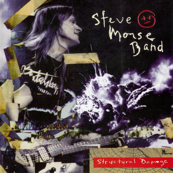 Cover of Structural Damage