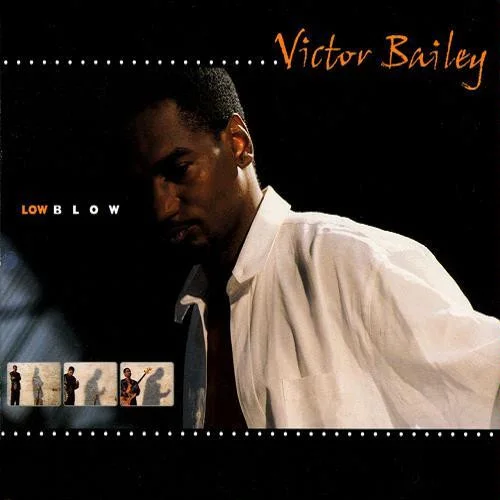 Cover of Low Blow