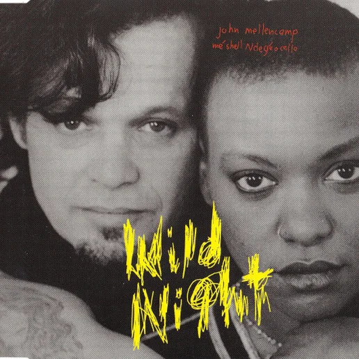 Cover of Wild Night