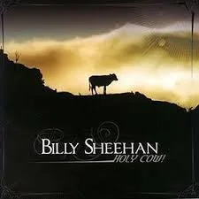 Cover of Holy Cow!