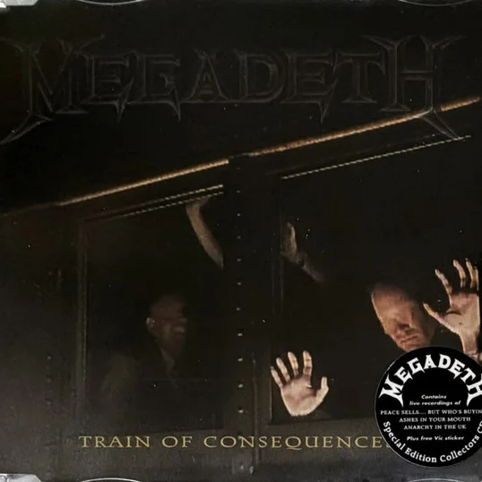 Cover of Train Of Consequences