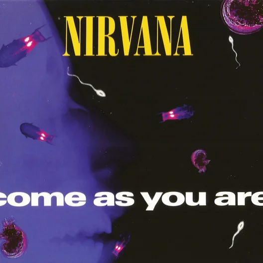 Cover of Come As You Are
