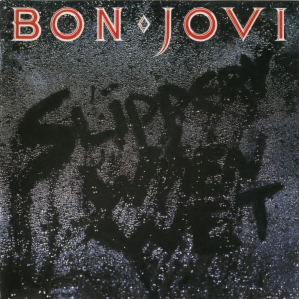 Cover of Slippery When Wet