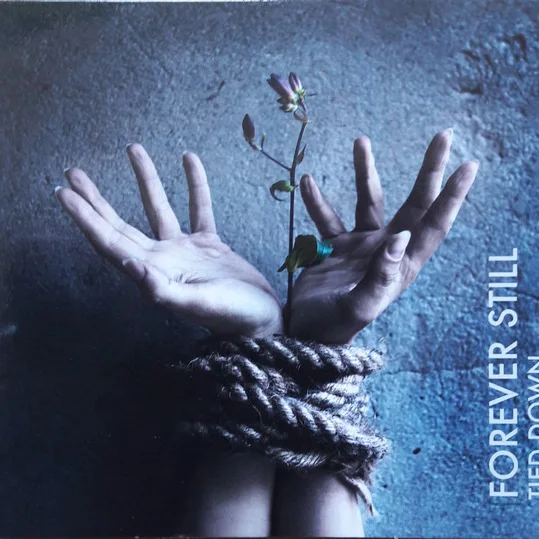 Cover of Tied Down