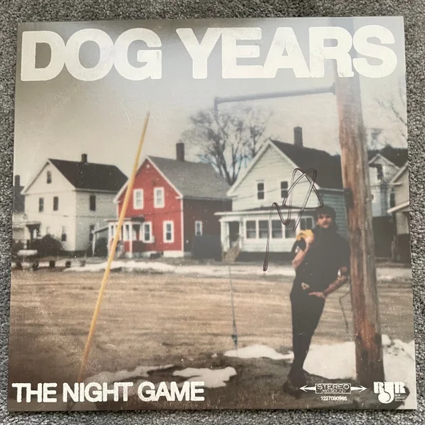 Cover of Dog Years