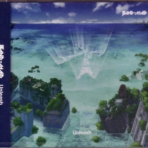 Cover of Unleash